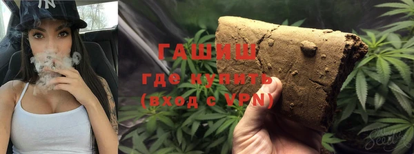 шишки Белокуриха