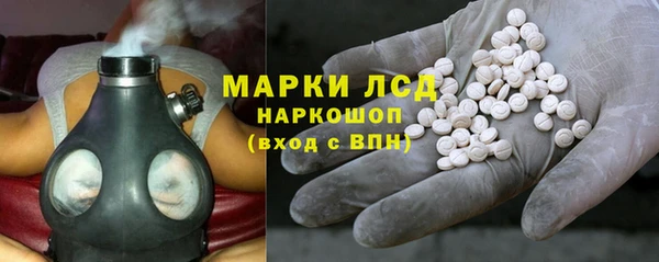 спайс Богданович