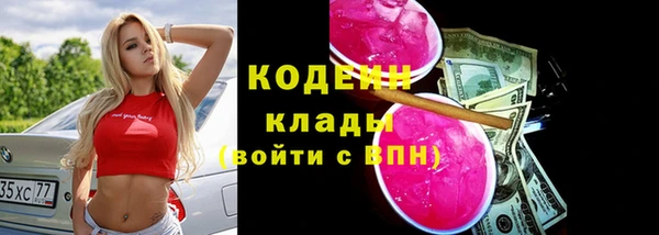 шишки Белокуриха