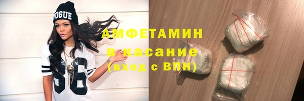 спайс Богданович
