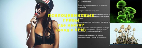 МДПВ Богородск