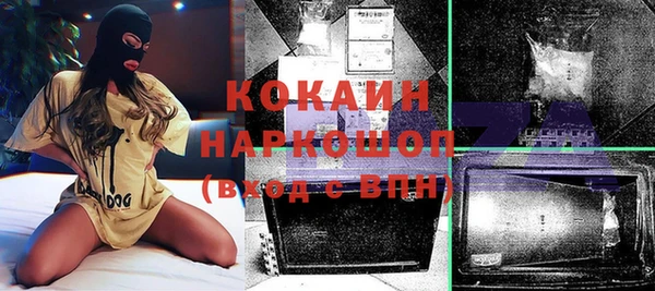 мдпв Богородицк