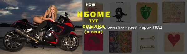 мдпв Богородицк