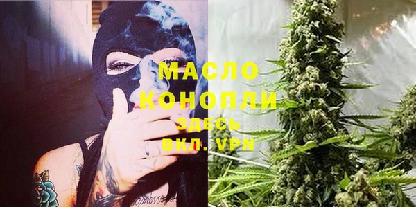 шишки Белокуриха