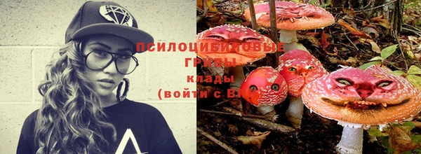 спайс Богданович