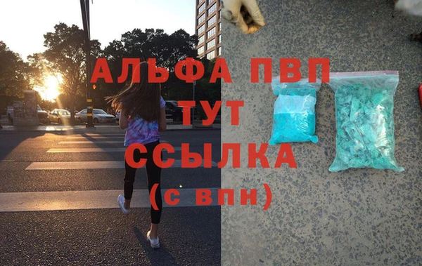 спайс Богданович