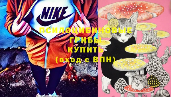 спайс Богданович