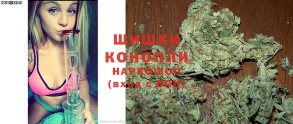 спайс Богданович
