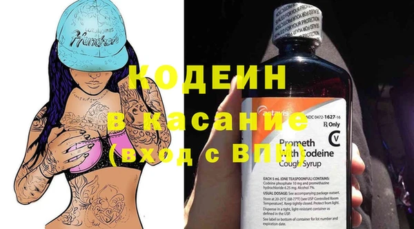 молекула духа Бородино